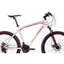 Bicicleta 26 Ace Disc 21V - Soul