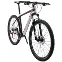 Bicicleta 29 Fly Carbon 30V - TSW