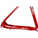 Quadro 29" Wing MTB - Oggi