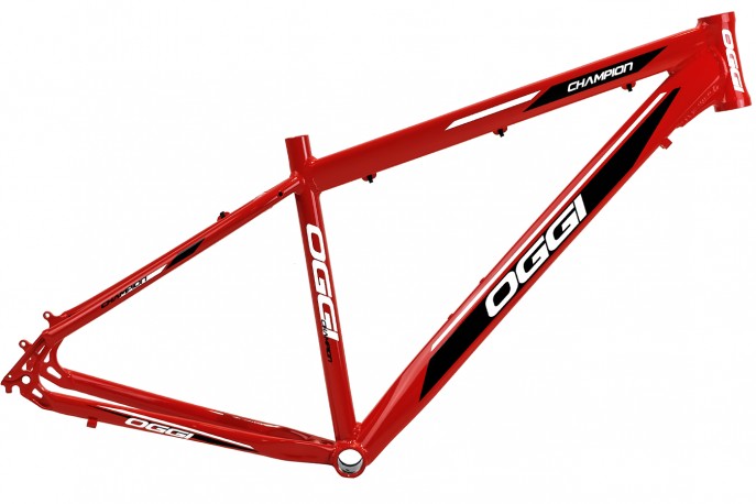 Quadro 29" MTB Champion - Oggi