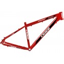 Quadro 29" MTB Champion - Oggi