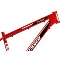 Quadro 29" MTB Champion - Oggi