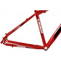 Quadro 29" MTB Champion - Oggi