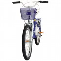 Bicicleta 20 Feminina Fast Girl - Fischer