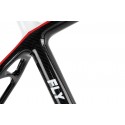 Quadro 29 Carbon MTB FLY - TSW