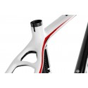 Quadro 29 Carbon MTB FLY - TSW