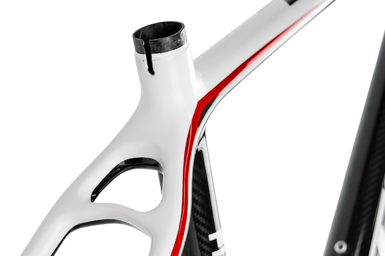 Carbono 29 online