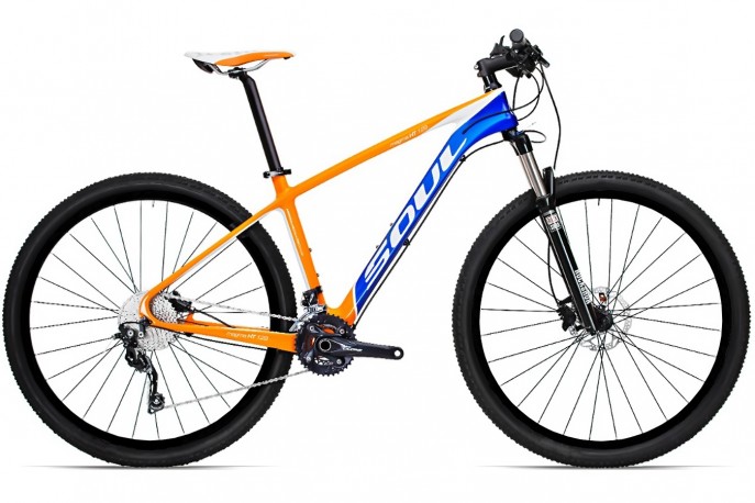 Bicicleta 29 Magma HT129 Carbon 20V - Soul