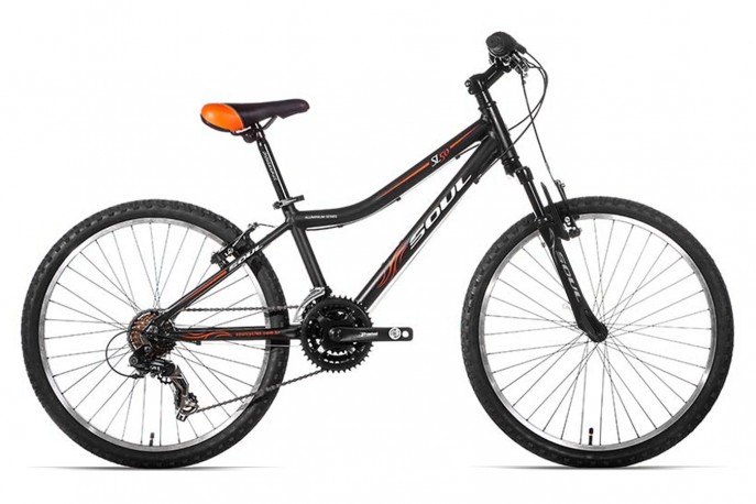 Bicicleta 24 Masculina SL 50 21V - Soul