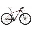 Bicicleta 29 Fly Carbon 30V - TSW