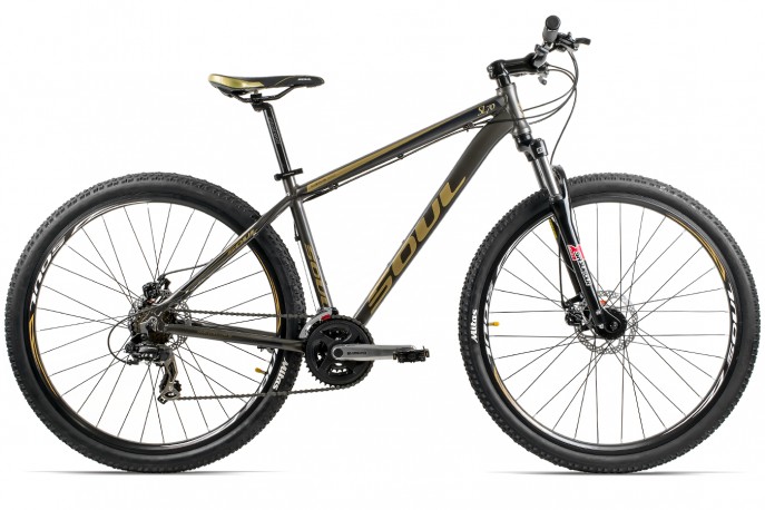 Bicicleta 29 Masculina SL70 21V - Soul