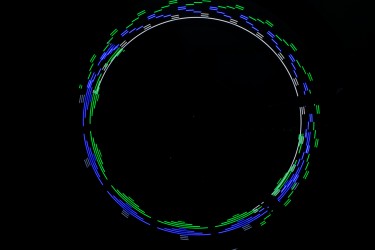 Luz Para Raios 1041 (Spoke Light) - LL 2
