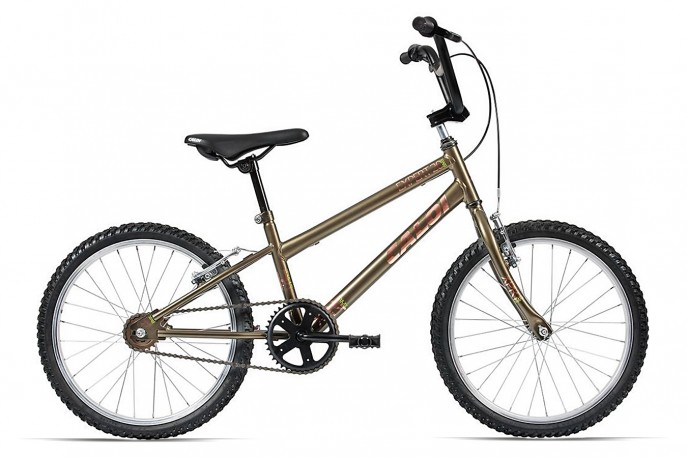 Bicicleta 20 Masculina Expert 20 - Caloi