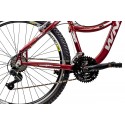 BICICLETA 26 FEMININA SOFI - WNY