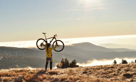 Dicas de segurança para andar de bicicleta